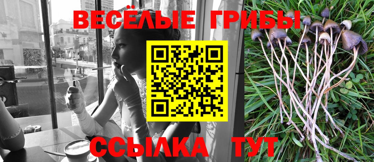 Галлюциногенные грибы Cubensis  Вход с VPN  Псилоцибиновые грибы MAGIC MUSHROOMS  Горно-Алтайск 
